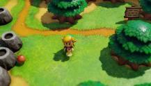 The-Legend-of-Zelda-Links-Awakening-(c)-2019-Nintendo-(2)