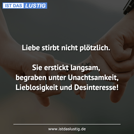 Lustiger BilderSpruch - Liebe stirbt nicht plötzlich.  Sie erstickt...