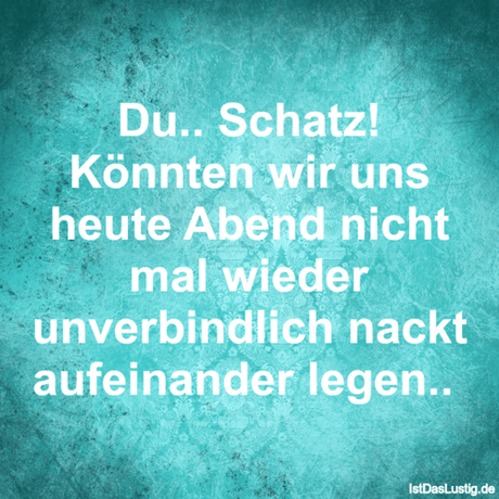 Lustiger BilderSpruch - Du.. Schatz! Könnten wir uns heute Abend nicht...