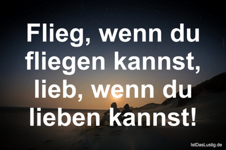 Lustiger BilderSpruch - Flieg, wenn du fliegen kannst, lieb, wenn du...