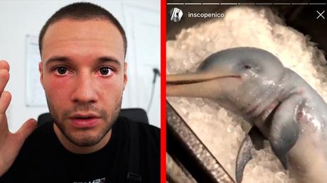 Inscope21 und der Baby-Delfin