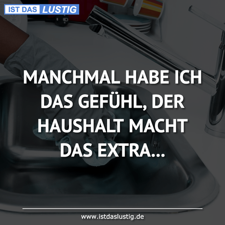 Lustiger BilderSpruch - MANCHMAL HABE ICH DAS GEFÜHL, DER HAUSHALT...