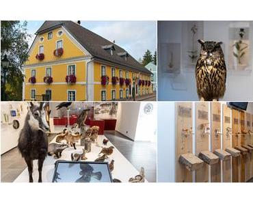 Eröffnung des neuen Naturkundemuseums Mariazell am 26. Oktober