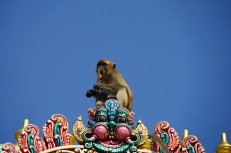 Die Batu Caves in Kuala Lumpur