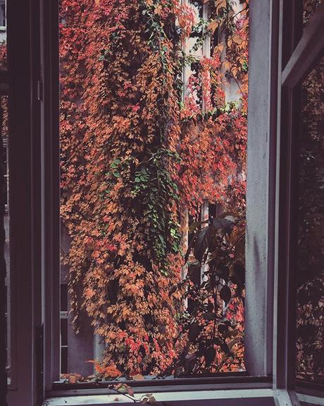 Awesome Autumn 🍂 | #berlinspiriert #berlin #blog #blogger #photography #nature #naturephotography #herbst #hinterhofromantik #oktober #colours #coloursofautumn #berlingram #igers #igersberlin #ig_berlin #ig_berlincity