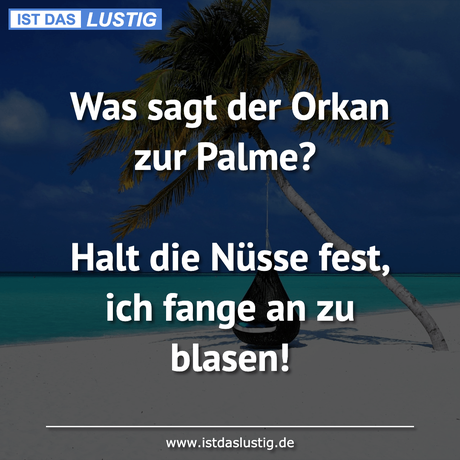 Lustiger BilderSpruch - Was sagt der Orkan zur Palme?  Halt die Nüsse...