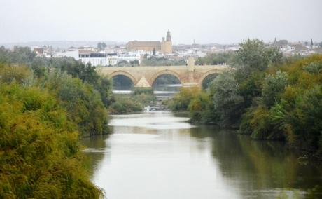 Andalusien Tag 4 – Sevilla, Cordoba