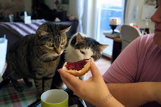 Höreder Beck Beim Bloggertreffen waren wir bestens versorgt mit Kuchen, Brot und Brötchen vom Höreder Beck #Bäckerei #Food #FrBT19