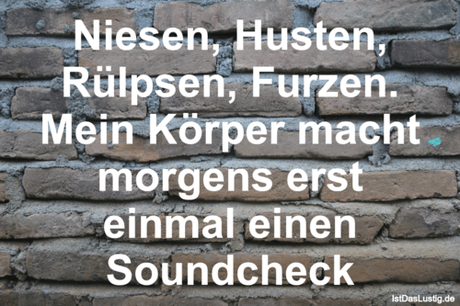 Lustiger BilderSpruch - Niesen, Husten, Rülpsen, Furzen. Mein Körper...