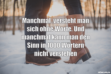 Lustiger BilderSpruch - Manchmal  versteht man sich ohne Worte. Und...