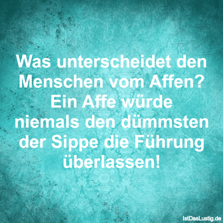 Lustiger BilderSpruch - Was unterscheidet den Menschen vom Affen? Ein...