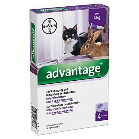 ADVANTAGE 80 mg für große Katzen