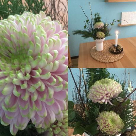 Friday-Flowerday – oder – Chrysanthemen zum Behalten und Verschenken