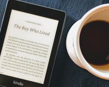 Review: Zwei Monate Lesen mit dem Kindle