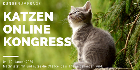 Die ersten Interviews beim Katzen.Onlinekongress.eu