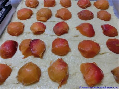 Aprikosen-Mohnkuchen