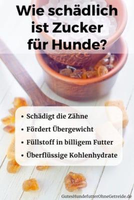 Wie schädlich ist Zucker für Hunde