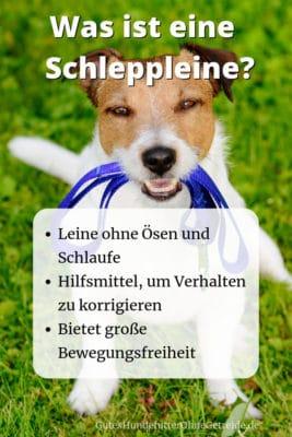 Was ist eine leichte Schleppleine für kleine Hunde?