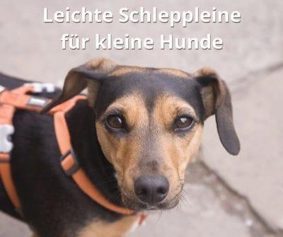 Schleppleine für kleine Hunde: Leichte Biothane Schleppleinen