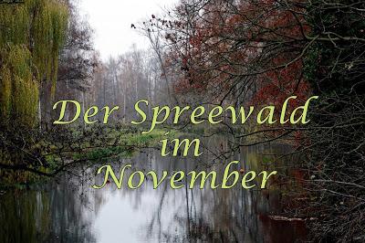Der Spreewald im November