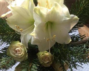 Weihnachtszeit bei Lilamalerie #6 – oder – Amaryllis, Rosen & Tannengrün