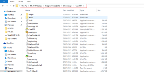 Free Download CuteFTP 9.0 Full crack serial number