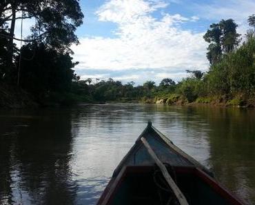 Die allerbeste Geschenkidee – den Amazonas-Regenwald retten!