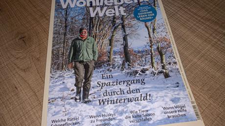 Lesetipp: Wohllebens Welt (4) – Ein Spaziergang durch den Winterwald!