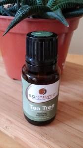 Teebaumöl – ein Alleskönner aus der Natur