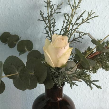 Weihnachtszeit bei Lilamalerie #20 – oder – Friday-Flowerday: Eine Rose kann schon sehr weihnachtlich sein