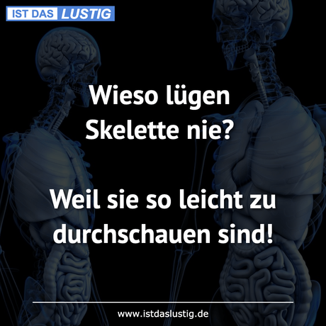 Lustiger BilderSpruch - Wieso lügen Skelette nie?  Weil sie so leicht...