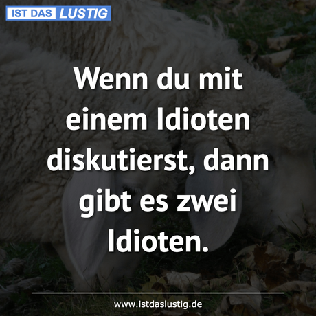 Lustiger BilderSpruch - Wenn du mit einem Idioten diskutierst, dann...