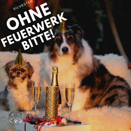 Bitte KEIN Feuerwerk zu Silvester - den Tieren zu liebe!