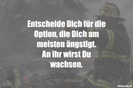 Lustiger BilderSpruch - Entscheide Dich für die Option, die Dich am...