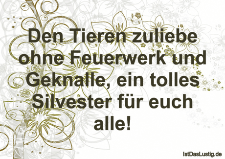 Lustiger BilderSpruch - Den Tieren zuliebe ohne Feuerwerk und Geknalle,...