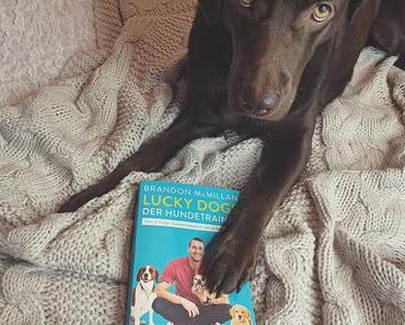Buchvorstellung - Lucky Dogs - der Hundetrainer - Der 7-Tage-Trainingsplan für jeden Hund von Brandon McMillan