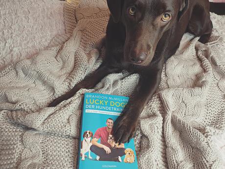 Buchvorstellung - Lucky Dogs - der Hundetrainer - Der 7-Tage-Trainingsplan für jeden Hund von Brandon McMillan