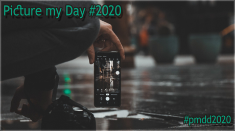 #0984 [Spotlight] „Picture my Day“ Day #2020