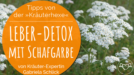 Wertvolle Tipps von der Kräuterhexe aus ihrem Kräutergarten: Leber-Detox
