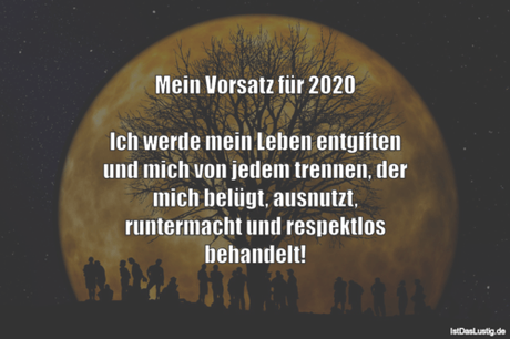 Lustiger BilderSpruch - Mein Vorsatz für 2020  Ich werde mein Leben...