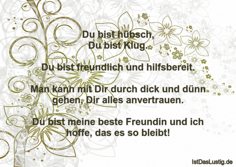Lustiger BilderSpruch - Du bist hübsch, Du bist Klug.  Du bist...