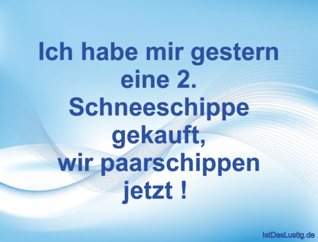 Lustiger BilderSpruch - Ich habe mir gestern eine 2. Schneeschippe...