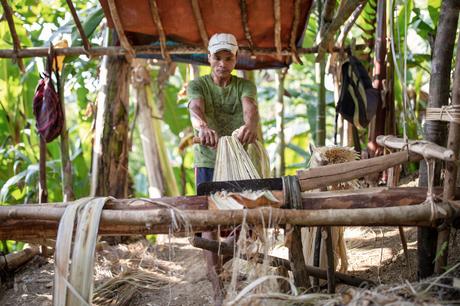 Nachhaltiges Material: Herstellung der Fasern aus Bananenbaum