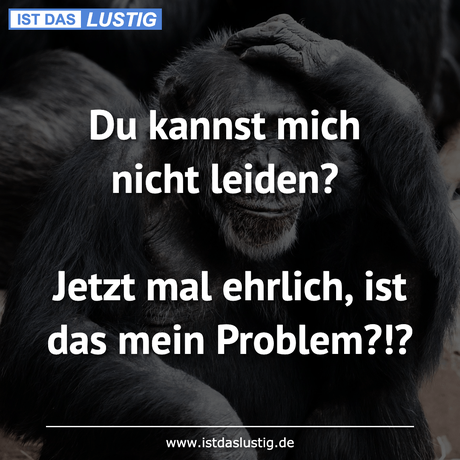 Du kannst mich nicht leiden? Jetzt mal...