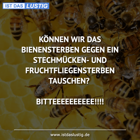 Lustiger BilderSpruch - KÖNNEN WIR DAS BIENENSTERBEN GEGEN EIN...