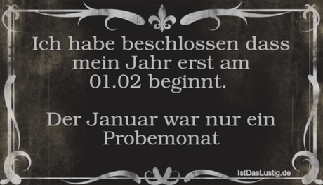 Lustiger BilderSpruch - Ich habe beschlossen dass mein Jahr erst am...