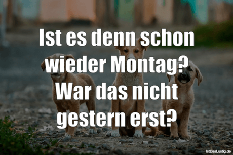 Lustiger BilderSpruch - Ist es denn schon wieder Montag? War das nicht...