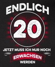 Text geburtstag 20 jahre