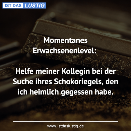 Lustiger BilderSpruch - Momentanes Erwachsenenlevel:  Helfe meiner...