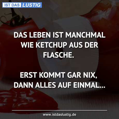 Lustiger BilderSpruch - DAS LEBEN IST MANCHMAL WIE KETCHUP AUS DER...